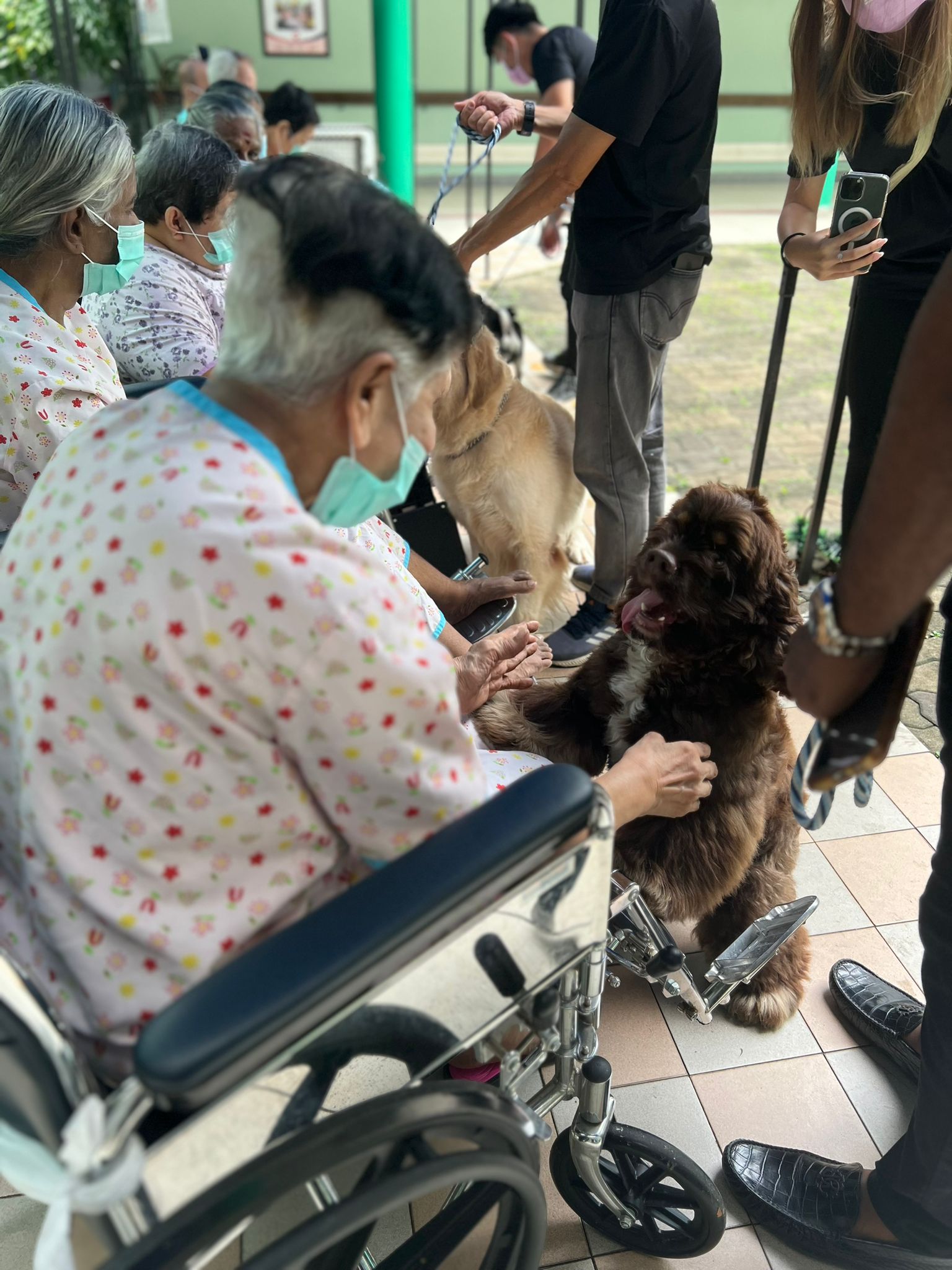 Pet Therapy at SNM Nursing Home@Chong Pang