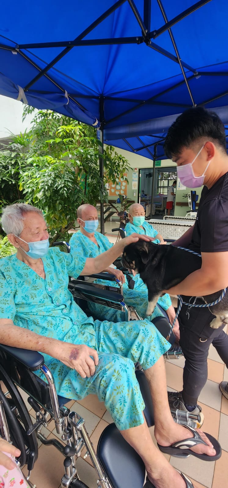 Pet Therapy at SNM Nursing Home@Chong Pang