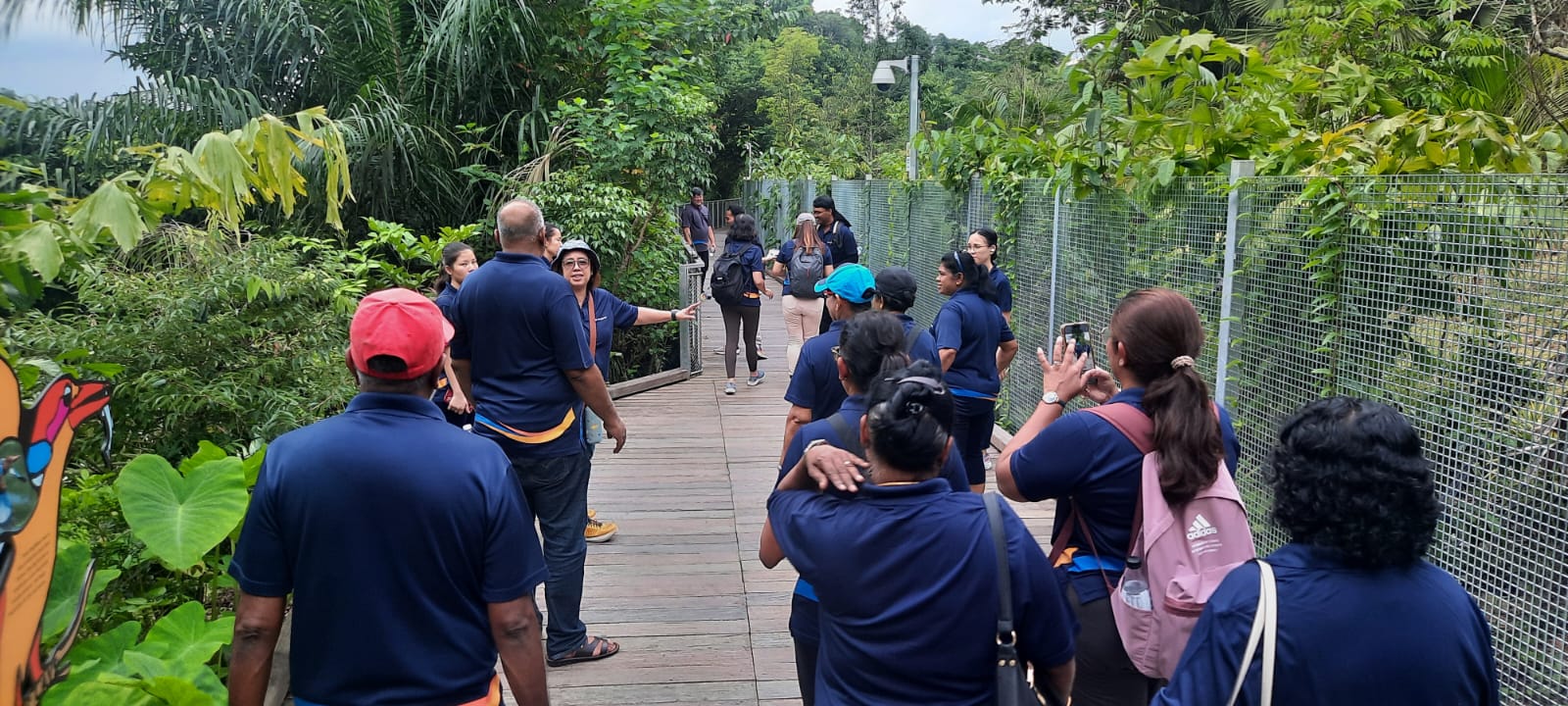 Labour Day Walk at Mandai Boardwalk
