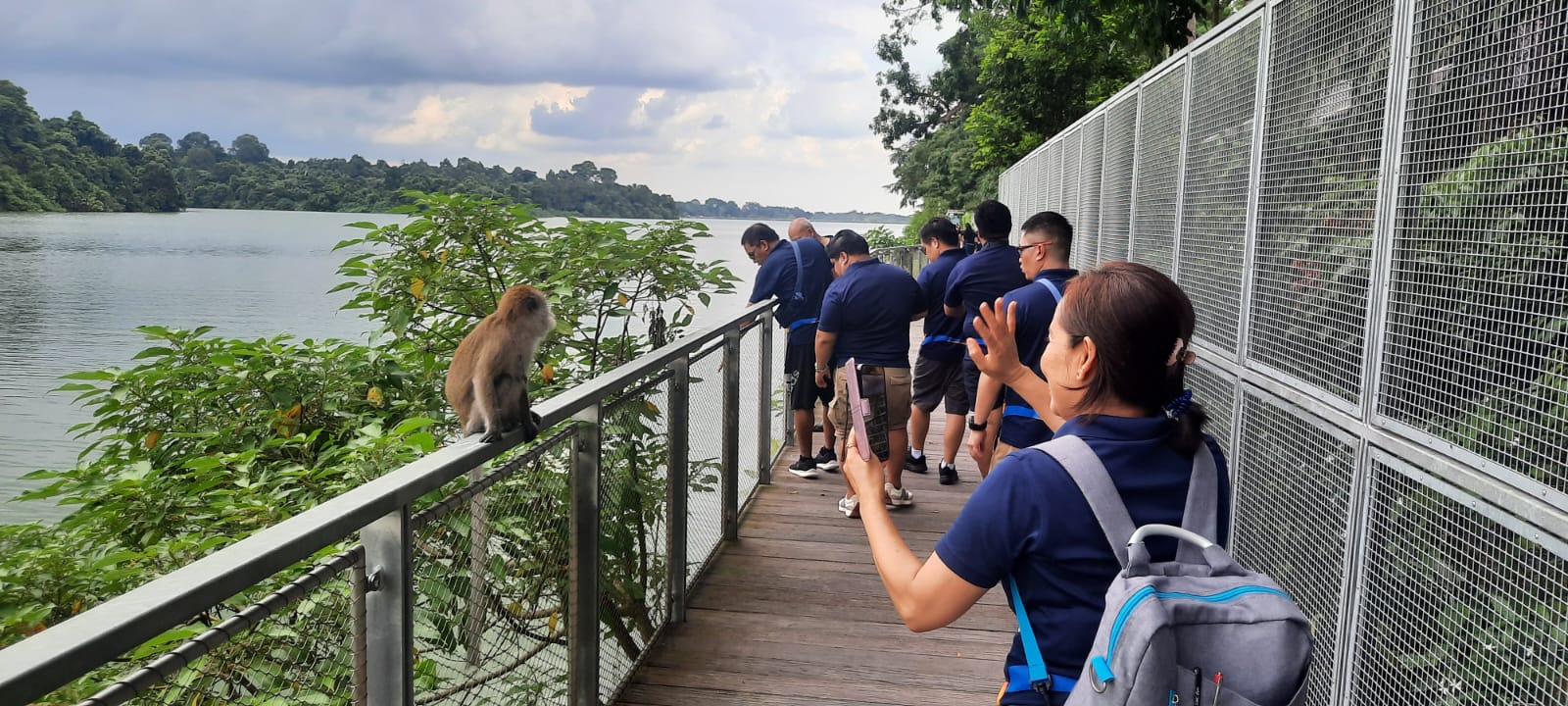 Labour Day Walk at Mandai Boardwalk