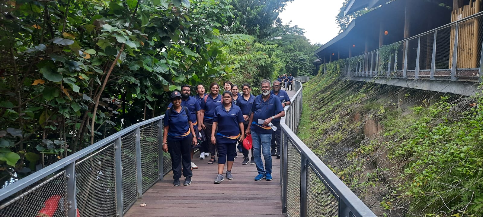 Labour Day Walk at Mandai Boardwalk