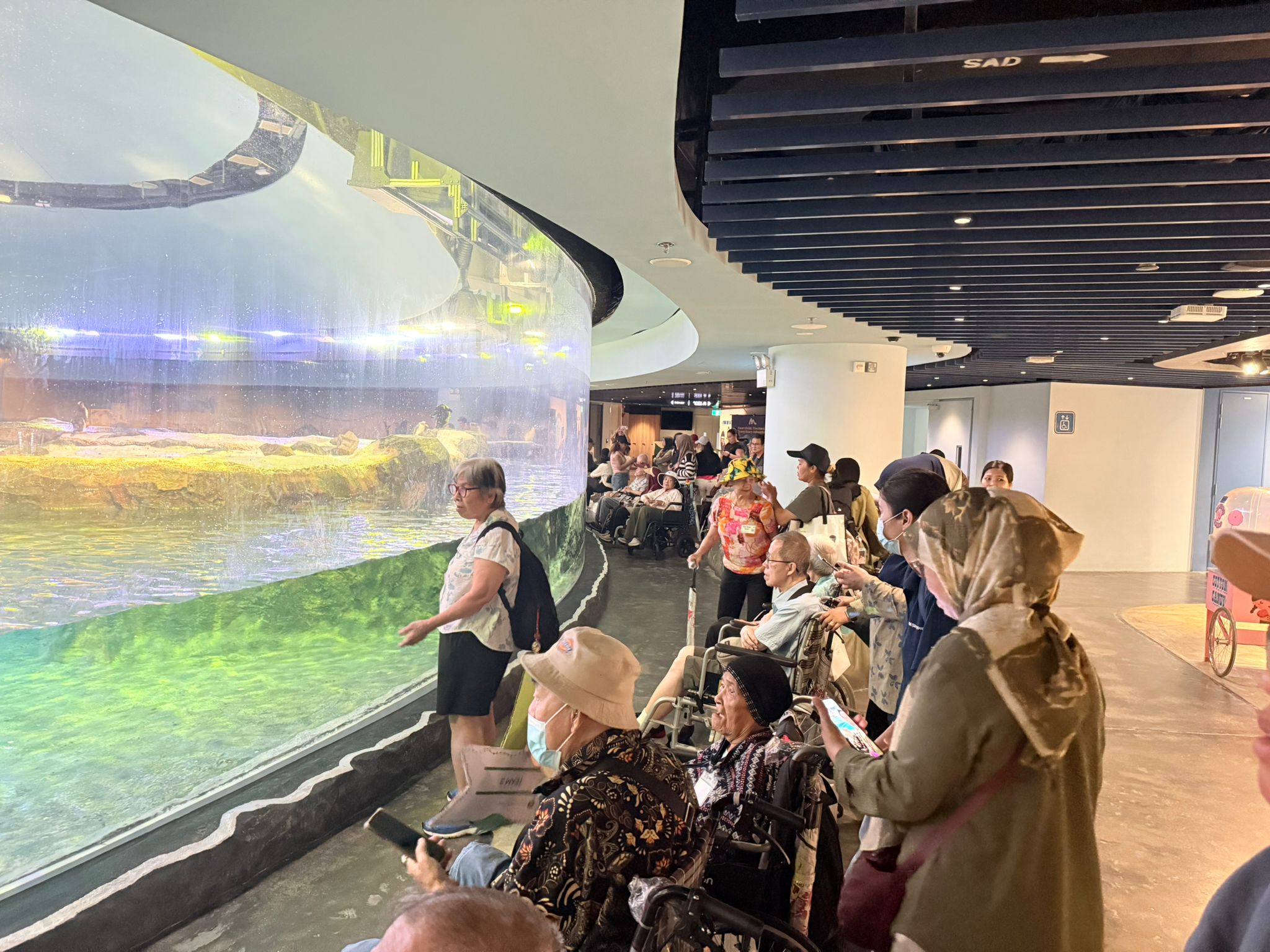 SNM Seniors Visit Bird Paradise