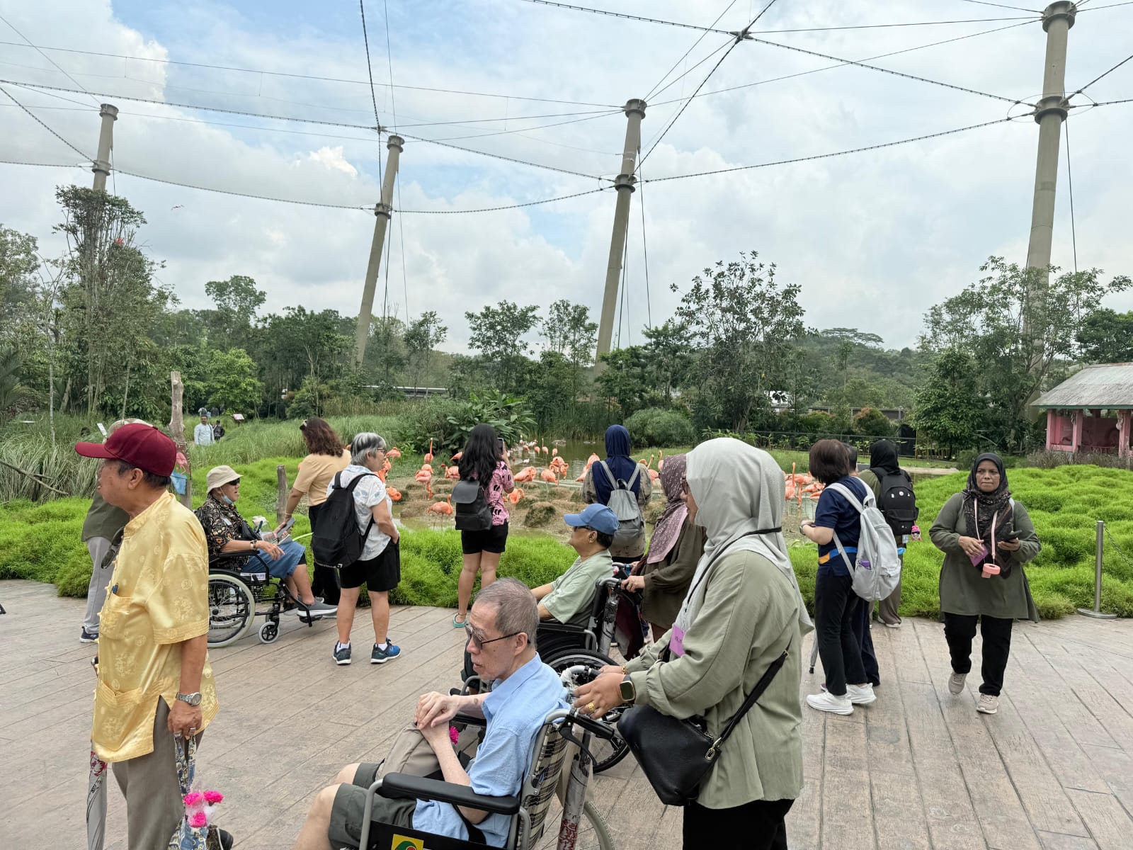 SNM Seniors Visit Bird Paradise