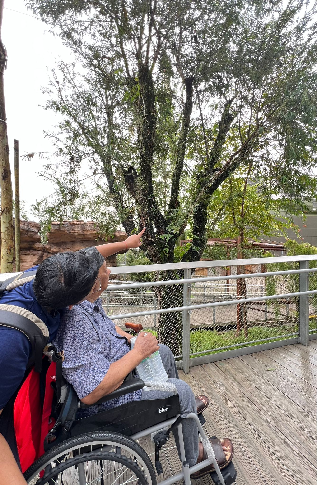 SNM Seniors Visit Bird Paradise