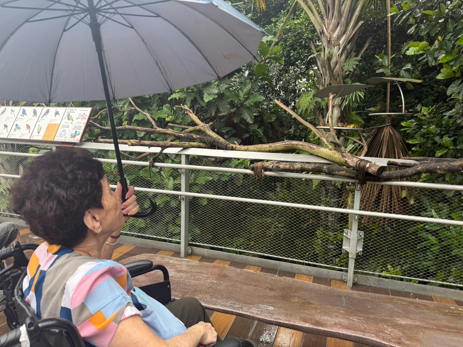 SNM Seniors Visit Bird Paradise