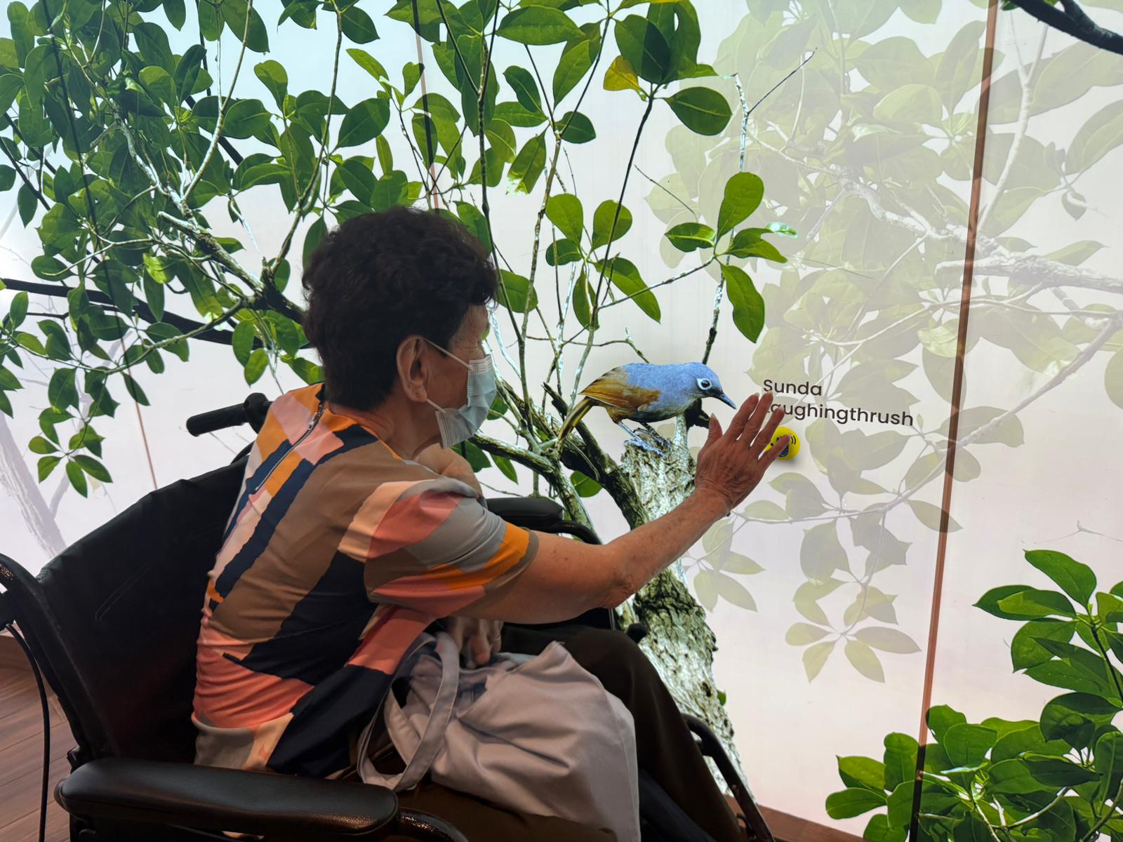 SNM Seniors Visit Bird Paradise