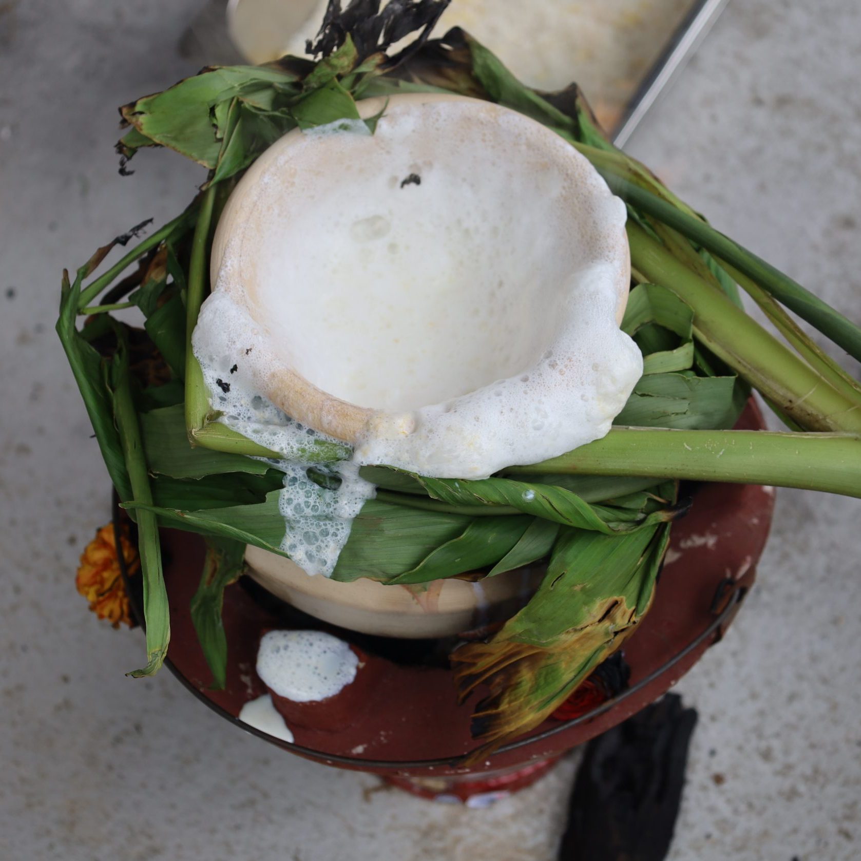 Pongal 2026 at SNM Nursing Home@Chong Pang